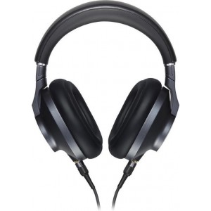 Technics EAH-T700 hoofdtelefoon/headset Hoofdtelefoons Hoofdband Zwart