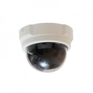 LevelOne beveiligingscamera: Fixed Dome Network Camera, 5-Megapixel, PoE 802.3af, Day & Night, IR LEDs, WDR - Zwart, Wit