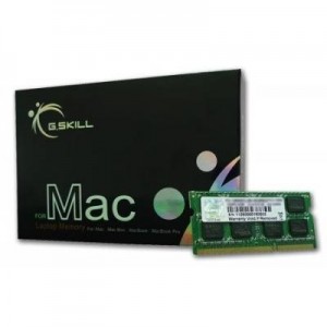 G.Skill RAM-geheugen: 2GB DDR3-1066 SQ MAC