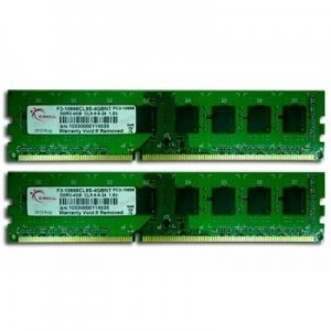 G.Skill RAM-geheugen: 8GB DDR3 DIMM