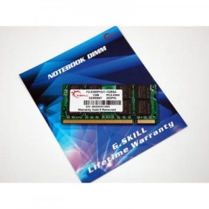 G.Skill RAM-geheugen: 1GB (1x1024MB) PC2-5300