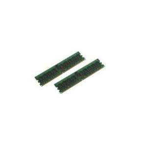 MicroMemory RAM-geheugen: 2GB KIT DDR2 667MHZ ECC/REG