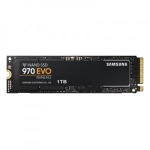 Samsung SSD: 970 EVO 1TB - Zwart