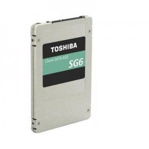 Toshiba SSD: CLIENT - Zilver