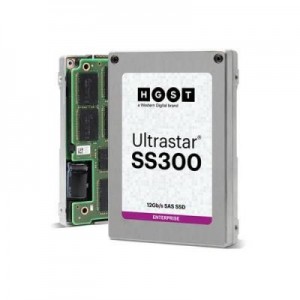 HGST SSD: SS300 - Grijs