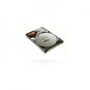 MicroStorage interne harde schijf: 320GB 2.5" IDE (Refurbished ZG)