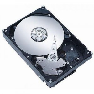 MicroStorage interne harde schijf: 320GB, 8.89 cm (3.5 ") SATA, 8MB, 7200RPM (Refurbished ZG)