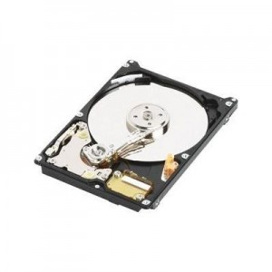 MicroStorage interne harde schijf: HDD 250GB 2''1/2 SATA2 5400RPM  (Refurbished ZG)