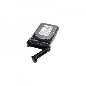 DELL SSD: 800 GB SAS SSD, 6.35 cm (2.5") , Hot-plug