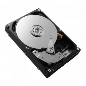 DELL interne harde schijf: 1000GB, 7200rpm, 8.89 cm (3.5") , SATA