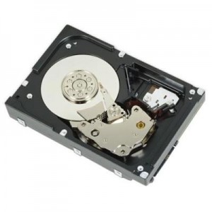 DELL interne harde schijf: 1TB NLSAS 7200 rpm 2.5"/ 3.5"