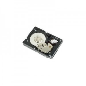 DELL interne harde schijf: 7200 rpm Near Line Serial Attached SCSI-Cabled harde schijf - 6 TB