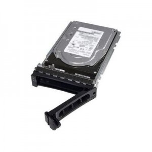 DELL interne harde schijf: 1 TB, 7200 RPM, SAS, 6.35 cm (2.5 ")