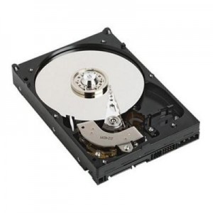 DELL interne harde schijf: 6TB SATA