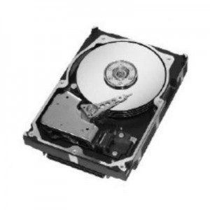 Seagate interne harde schijf: 300GB HDD (Refurbished ZG)