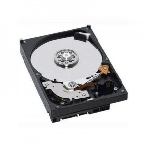 IBM interne harde schijf: 1TB SAS HDD1