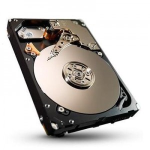 Seagate interne harde schijf: 300GB SAS (Approved Selection One Refurbished)