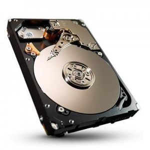 Seagate interne harde schijf: 300GB SAS (Refurbished ZG)