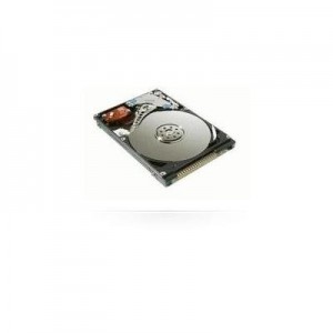 MicroStorage interne harde schijf: 100GB 2.5" IDE (Refurbished ZG)