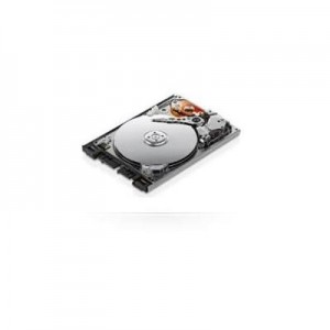 MicroStorage interne harde schijf: 250GB microSATA 1.8" (Refurbished ZG)