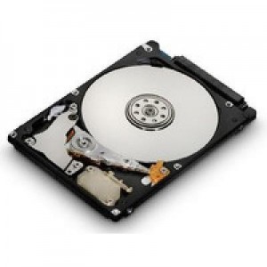 MicroStorage interne harde schijf: 160GB, 6.35 cm (2.5 ") , SATA II (Refurbished ZG)