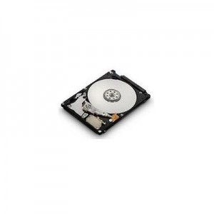 MicroStorage interne harde schijf: 160GB 2.5" SATA (Refurbished ZG)