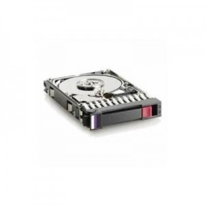 Hewlett Packard Enterprise interne harde schijf: 160 GB, 15000 RPM, HDD