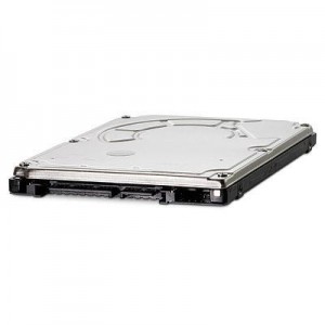 Hewlett Packard Enterprise interne harde schijf: 500GB SATA hard disk drive - 7,200 RPM