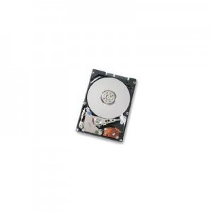 Hewlett Packard Enterprise interne harde schijf: DRV 80G HD, 4200 RPM