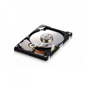 Hewlett Packard Enterprise interne harde schijf: 320GB SATA, 7200 RPM, 6.35 cm (2.5 ")  - Multi kleuren