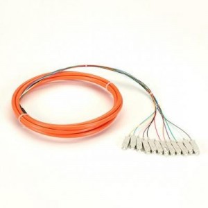 Black Box fiber optic kabel: OM1 62.5-Micron Multimode Fiber Optic Pigtail, 12-Strand, SC, Orange, 3-m (9.8-ft.)