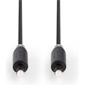 Nedis - Nedis CABP25000AT30 Optische Audiokabel Toslink Male - Toslink Male 3,0 M Antraciet - 30 Dagen Niet Goed Geld Terug