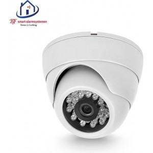 Home-Locking ip-camera dome binnen POE 1080P  2.0MP (wit) C-504